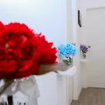 알 파르코 Ii 로타