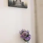 알 파르코 Ii 로타